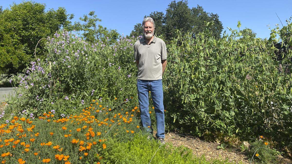 Kent Bradford coauthored a recent study on a new plant mechanism that could increase crop yields.