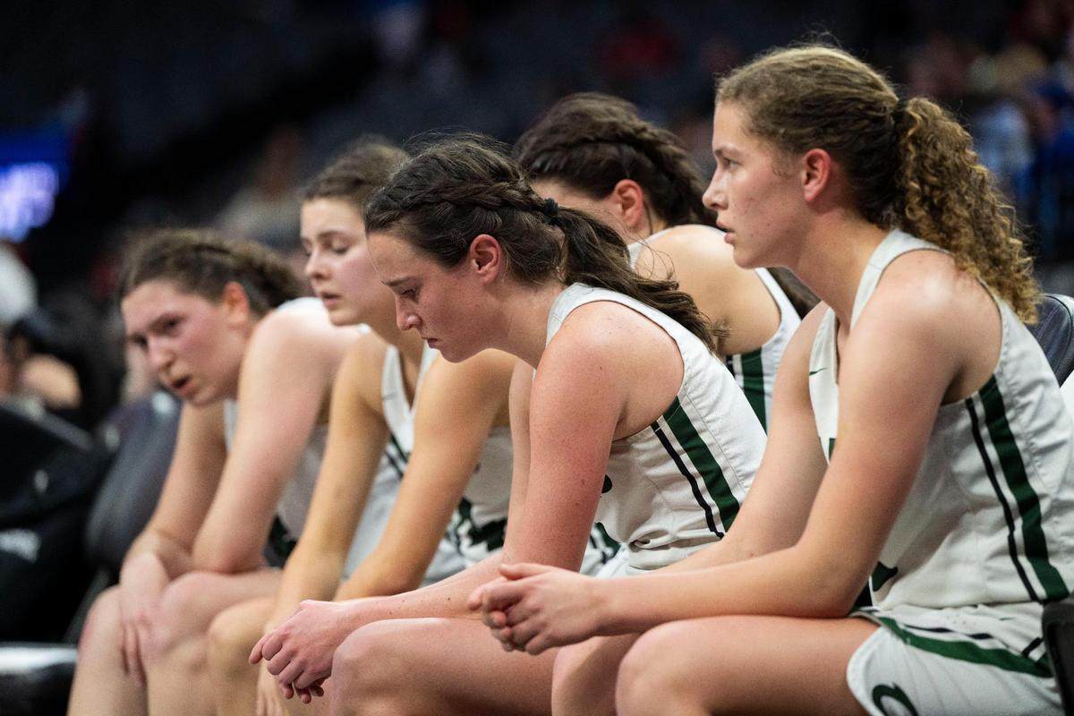 The Colfax High School Falcons suffered a 60-45 loss to the Harvard-Westlake Wolverines of Studio City in Los Angeles in the CIF Division II state championship game Saturday at Golden 1 Center.