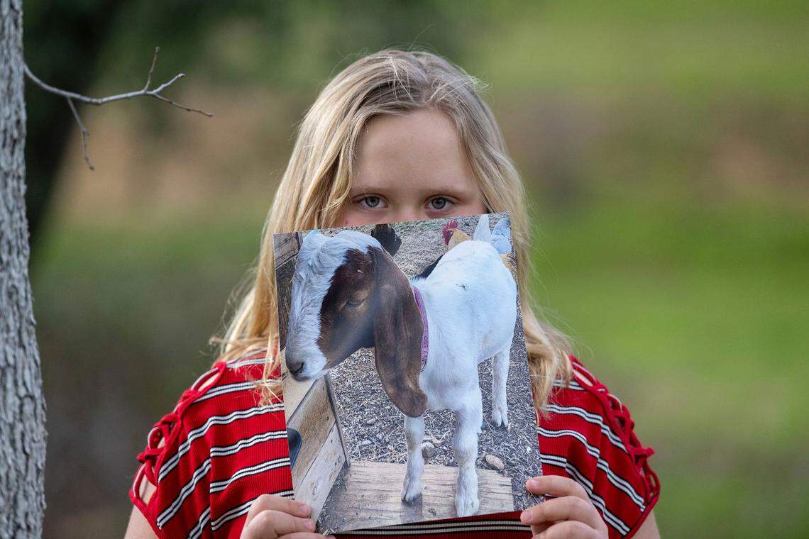 Jessica Long’s daughter holds a photo of her goat Cedar on Saturday, March 25, 2023, at Minder Park in Redding before the family pet was seized by sheriff’s officials and taken to slaughter,