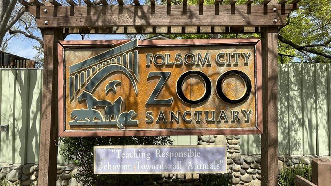 This family-friendly activity in Folsom costs less than $25. How I spent my day at the zoo