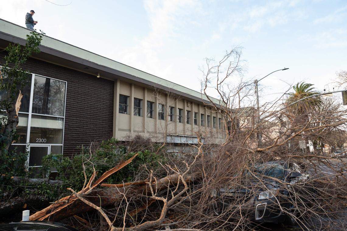 Chris Loftin, co-owner of marijuana dispensary Crystal Nugs on J Street in midtown, surveys the damage caused by an uprooted tree from the roof of his building Sunday, Jan. 8, 2023, after violent winds from a winter storm felled trees and power lines throughout the Sacramento region.