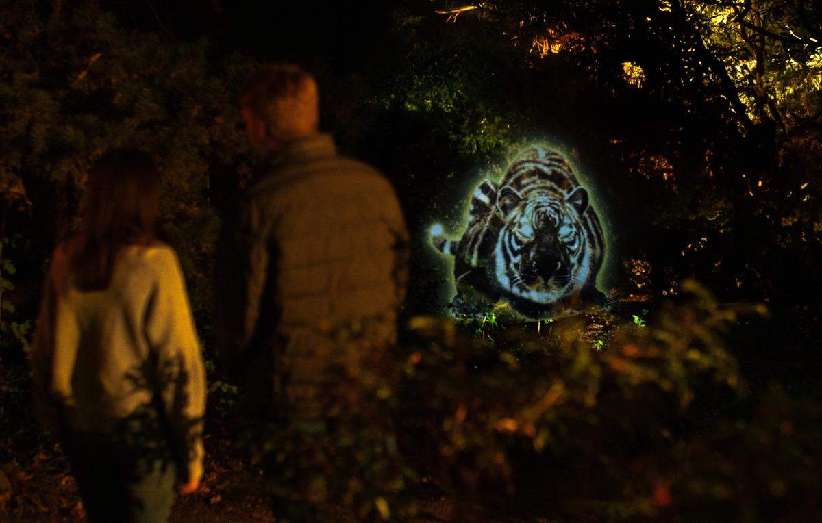 “Unextinct” is the Sacramento Zoo’s newest exhibit, coming Dec. 26. It’s an immersive digital nighttime experience featuring colorful illusions and illuminations.