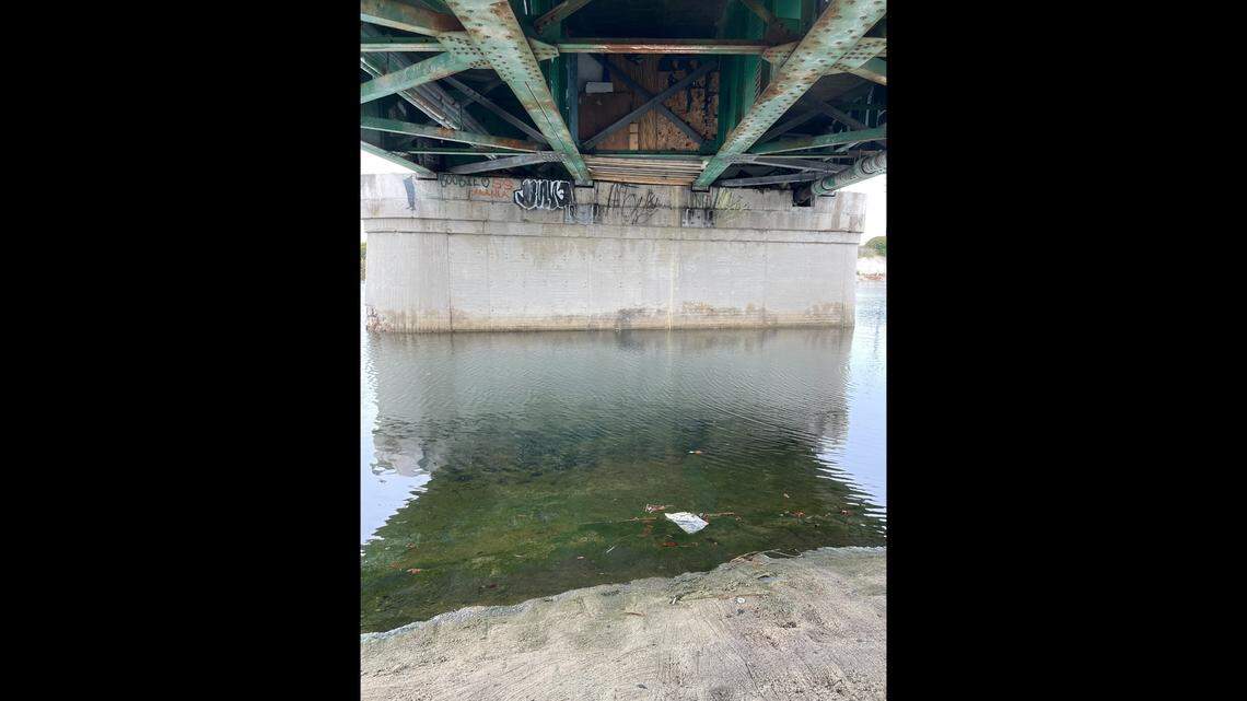 Human remains were found in a shed-like structure under a bridge, California officials said.