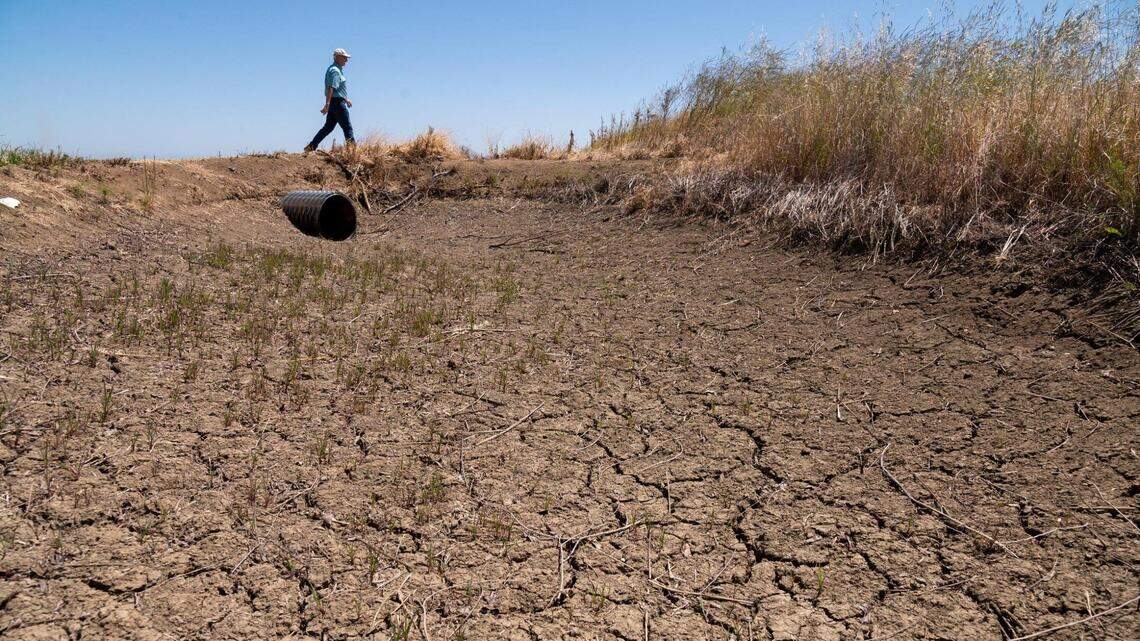 Sacramento Valley land sank during drought pumping, study says. Why it matters
