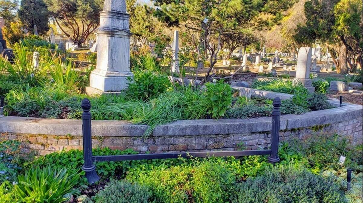 The sign in front of the Sacramento Historic Rose Garden has been missing since Jan 11 and no clues or leads have been discovered since then. The sign is 6 feet long and is made of painted metal.