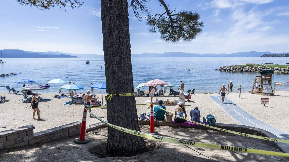 Why would anyone poison trees in Tahoe? Residents and officials are horrified