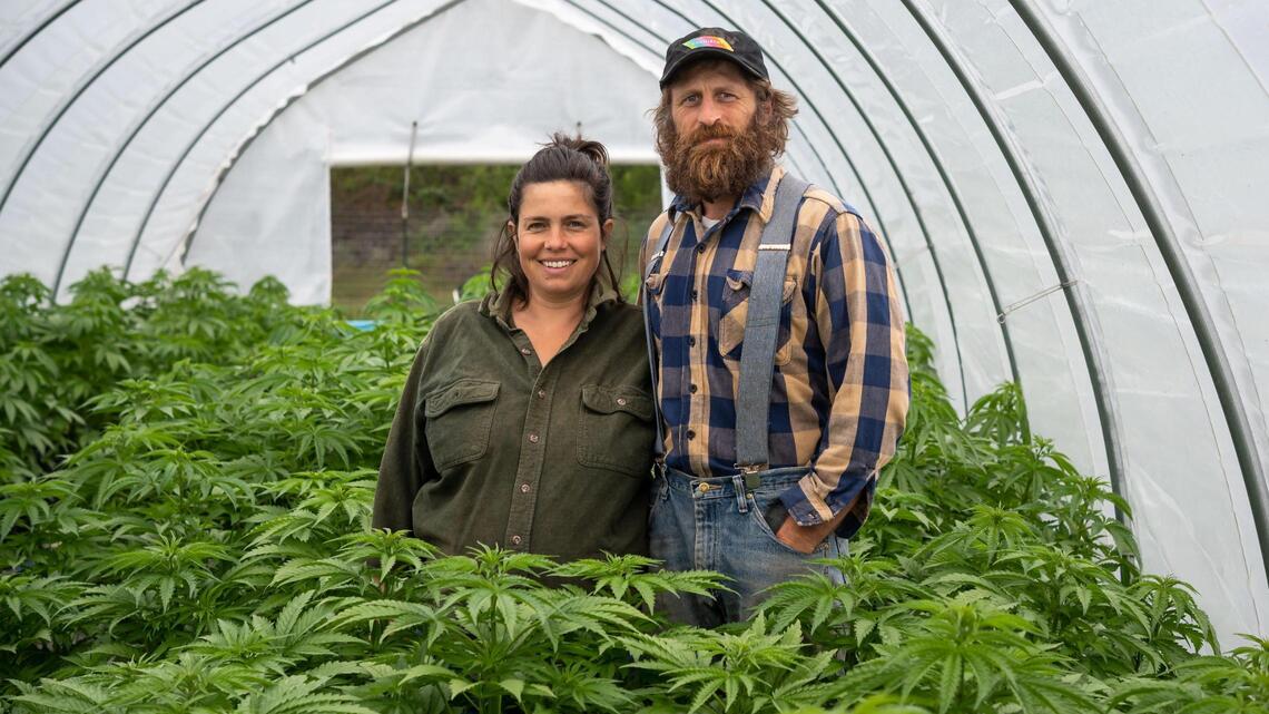 A joint operation: Mendocino marijuana farmers band together to fight for profits