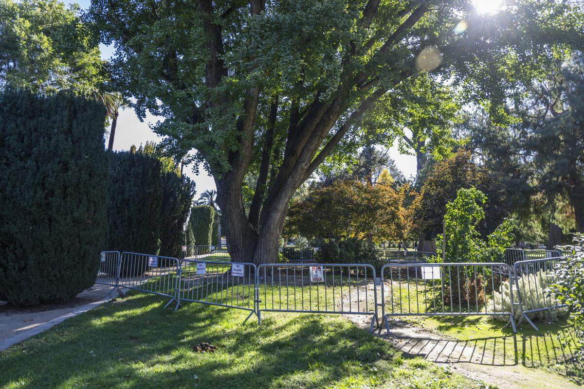 A ginkgo tree is fenced off at the California Capitol to keep people from stepping on its smelly fruit on Monday. State officials say the tree’s fallen fruit creates a foul odor and poses a slipping hazard on the surrounding walkway.