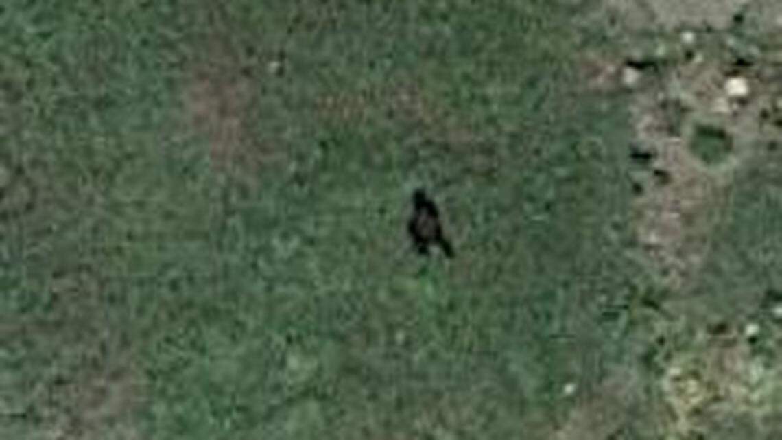 A dark shape on a Google Earth satellite photo near Montrose, Colorado, resembles classic photos of Bigfoot, leaving some fans guessing.