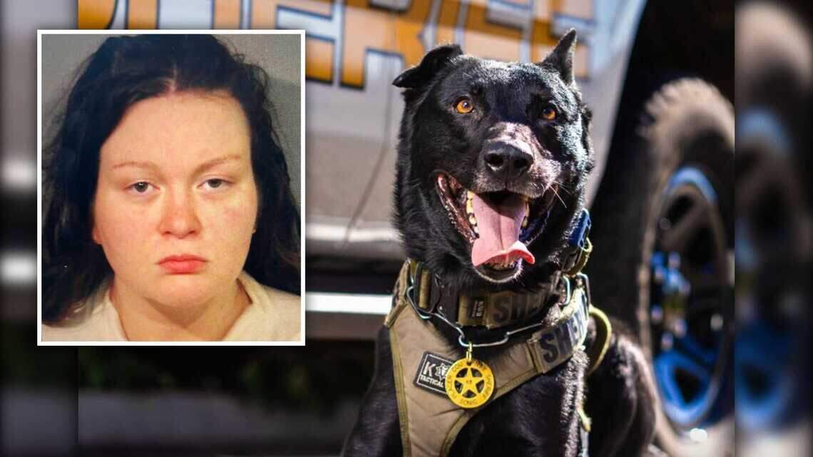 Placer sheriff’s K-9 Sonic shot by barricaded woman in Penryn; deputies return fire