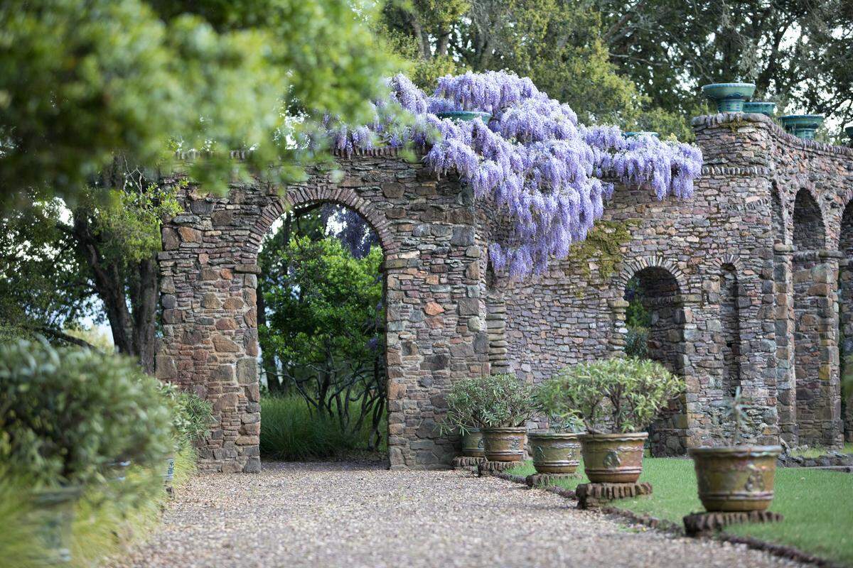 Wisteria grows on a wall of one of the property’s gardens.