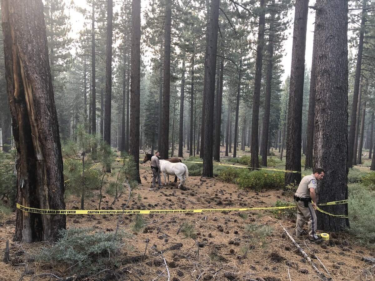 California Highway Patrol officers create a makeshift corral to contain the horses in South Lake Tahoe.