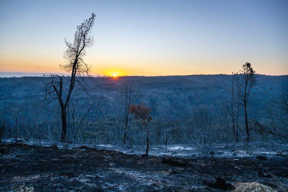 The sun sets behind forestland burned from the Park Fire near Highway 32 east of Chico on Tuesday, July 30, 2024.