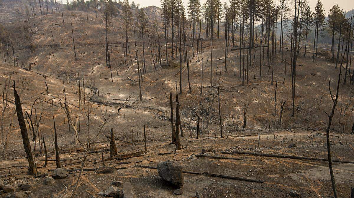 The landscape was left denuded after the vegetation burned during the Camp Fire in Concow. Storms and debris flows have delayed officials’ efforts to allow thousands back into evacuation zones.
