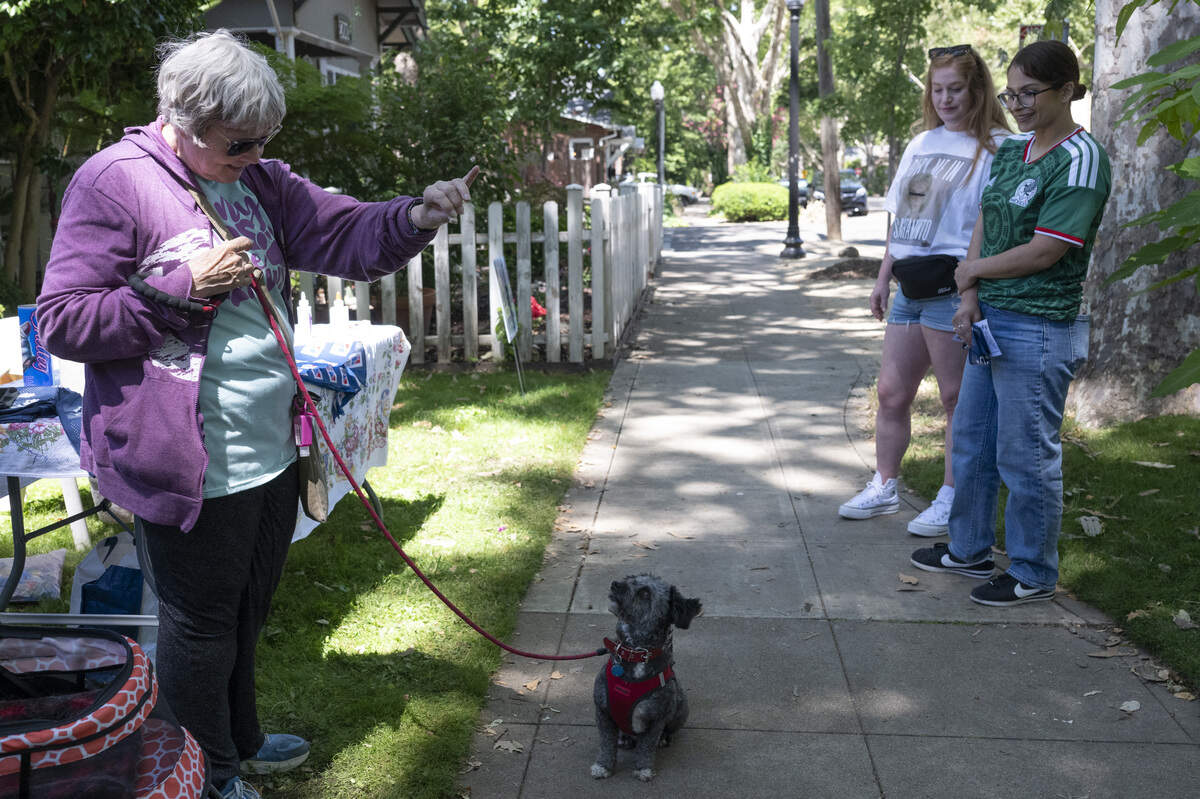 Shelley Bryant has her dog Barnabus do a trick during the NorCal Resist Cat Tour in Sacramento on Sunday, June 7, 2026. Bryant’s cats had to stay inside during the tour so she brought Barnabus out to greet visitors.