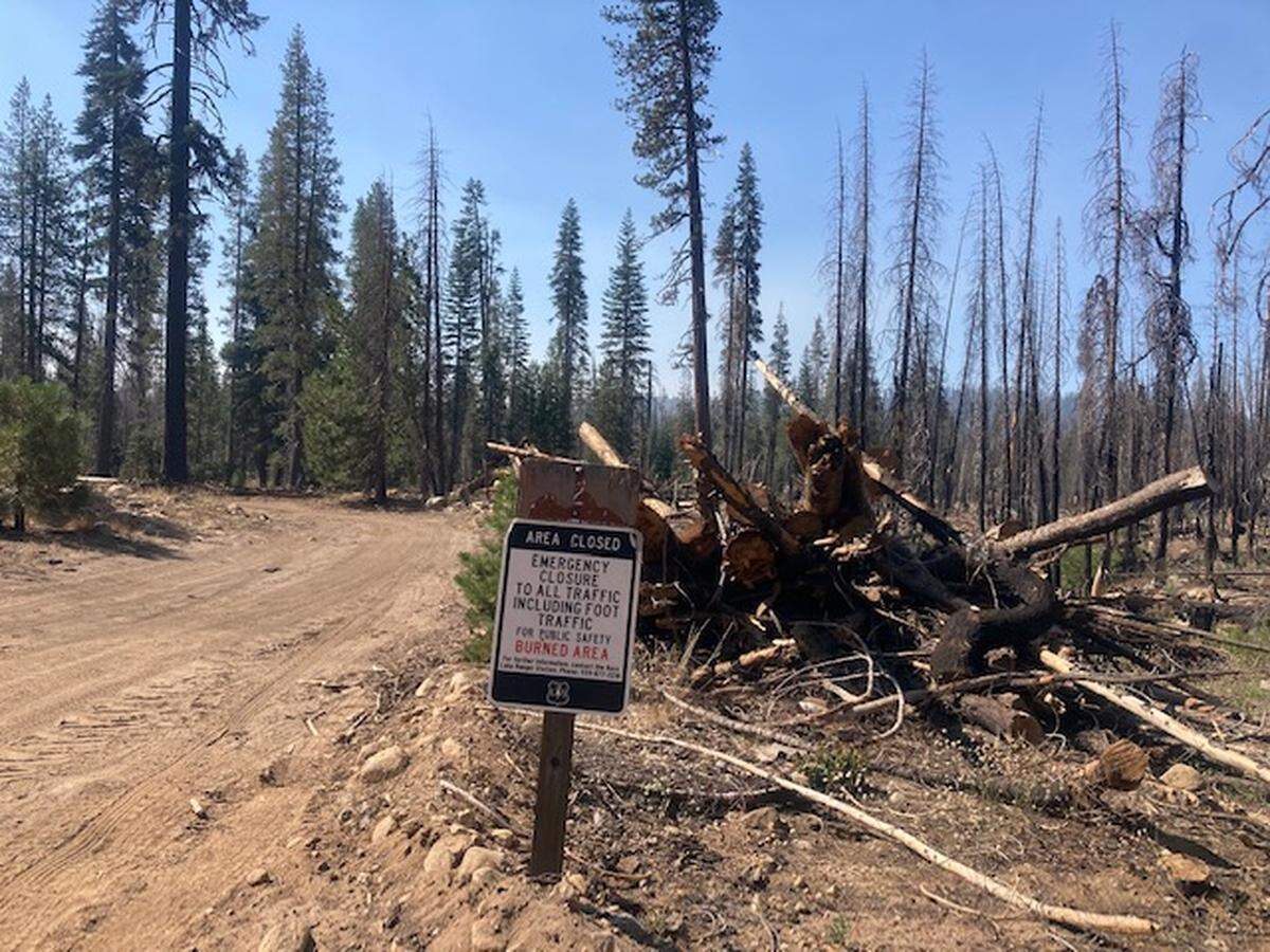 Jackass Lake trailhead, unprotected land in the Sierra National Forest.
