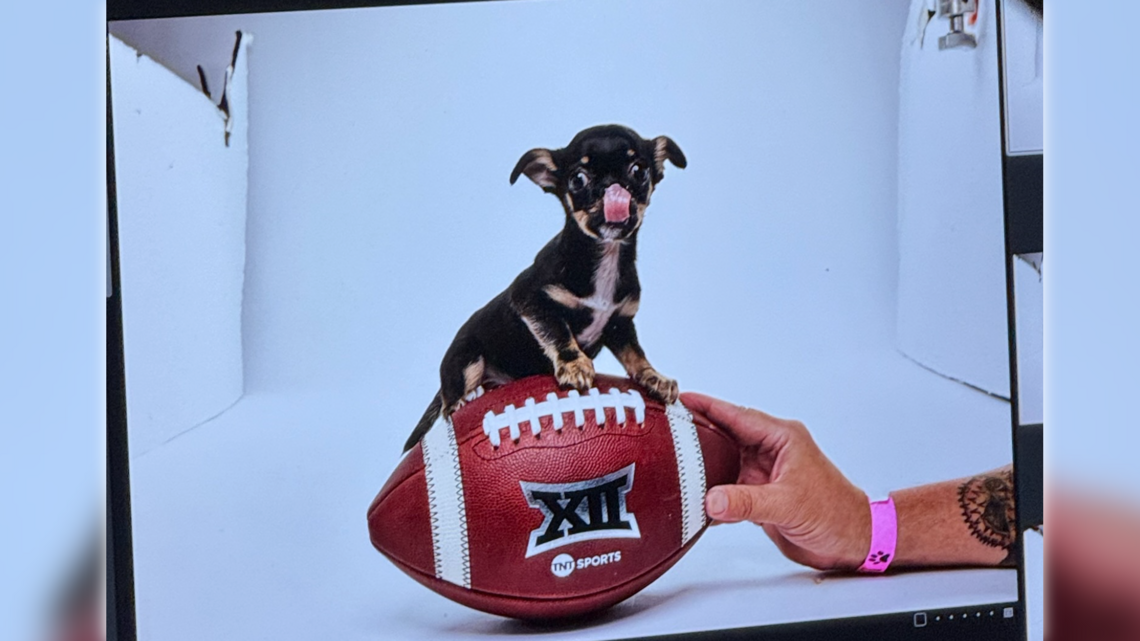 Sacramento’s Most Valuable Pup takes to the End Bone, competes in Puppy Bowl XXII