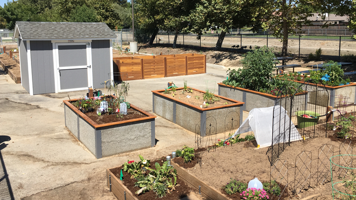 You can apply to garden in Sacramento community plots this summer. Here’s how