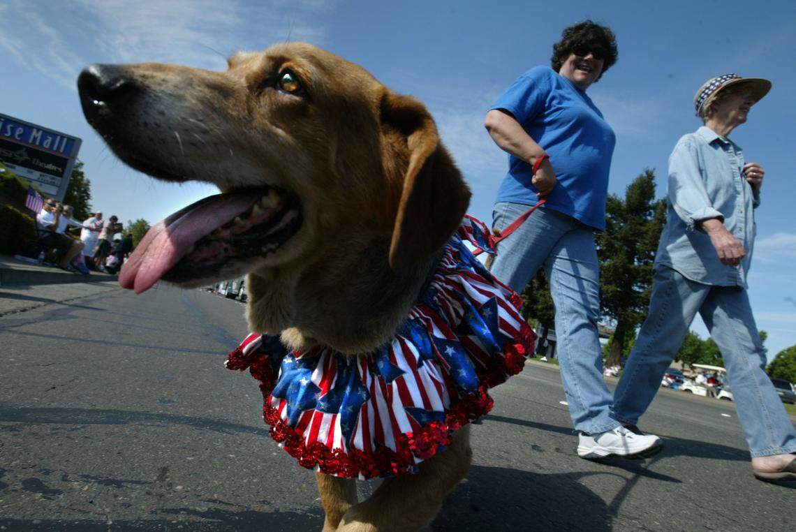Jerry is walked by Becky Money during a parade in front of Sunrise Mall to celebrate Citrus Heights’ cityhood in June 2005.