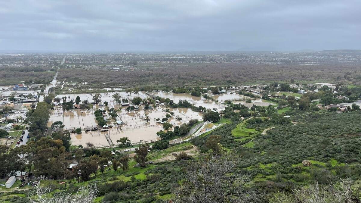 Border patrol agents helped rescue 27 horses stuck in floodwaters on Jan. 16, 2023, in San Ysidro, California, officials said.
