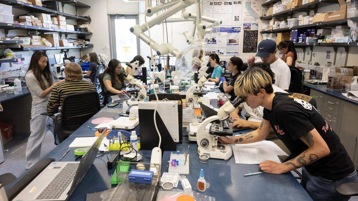 CA farmers, anglers and researchers often clash over salmon. Science united them