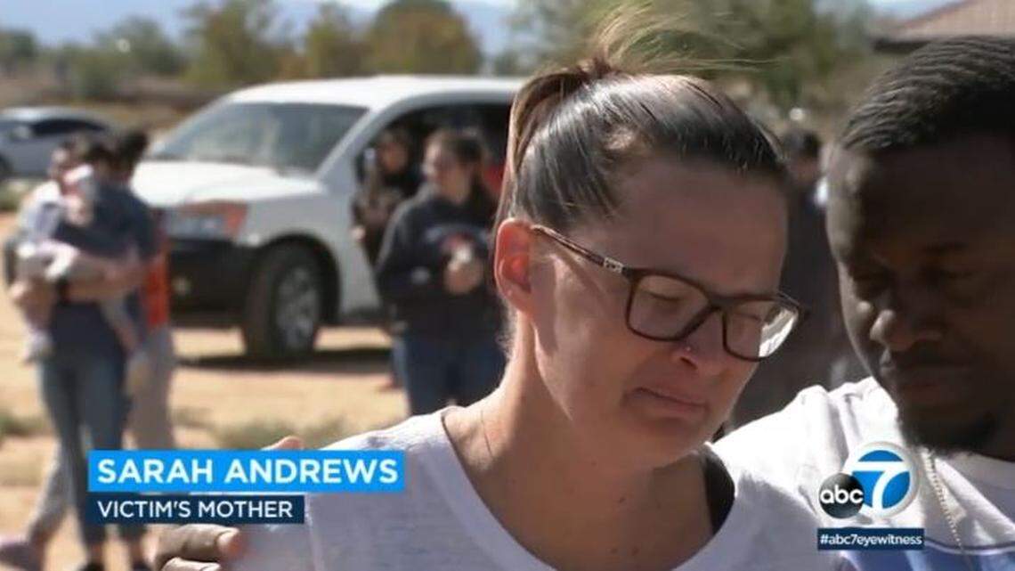 Lawrence Andrews, 14, died Tuesday night after being hit by a driver who sped off in Apple Valley, California, near San Bernardino, officials said.