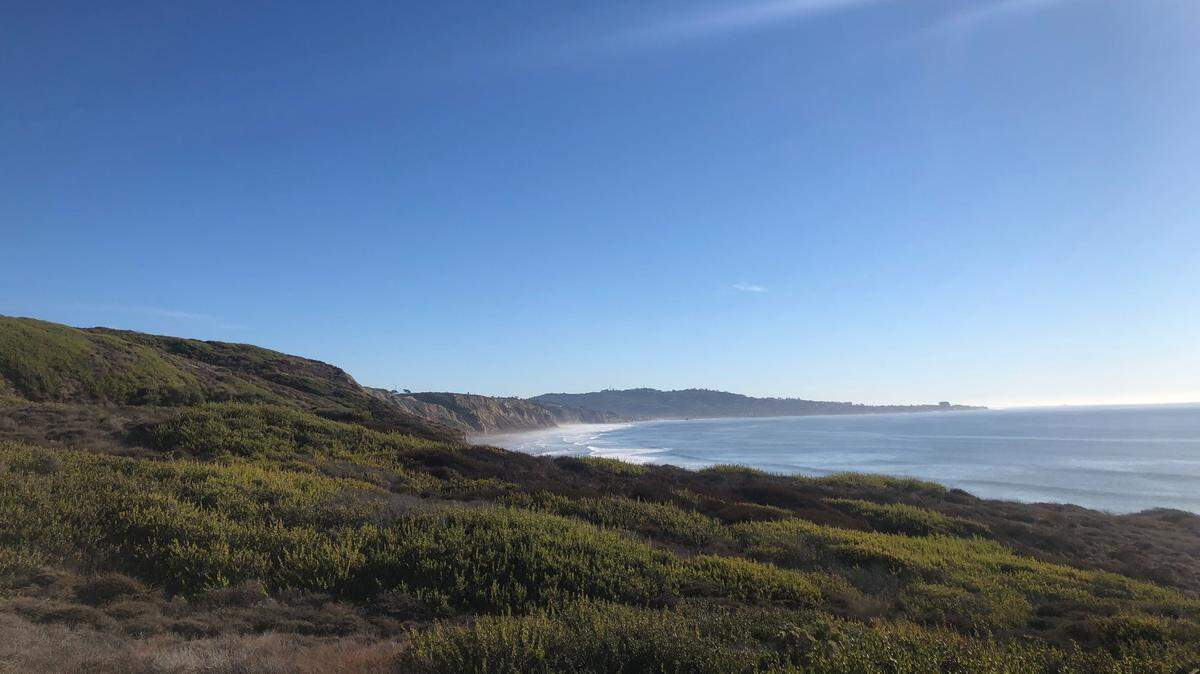 Decker Nomura, 54, captured a peregrine falcon in Torrey Pines, California “escorting invaders” out of its nesting area.