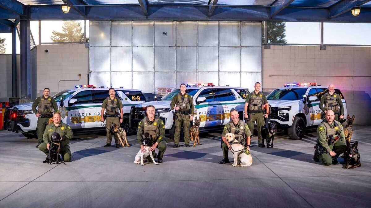 The Placer County Sheriff's Office has welcomed four new K-9 teams to its ranks in summer 2026.