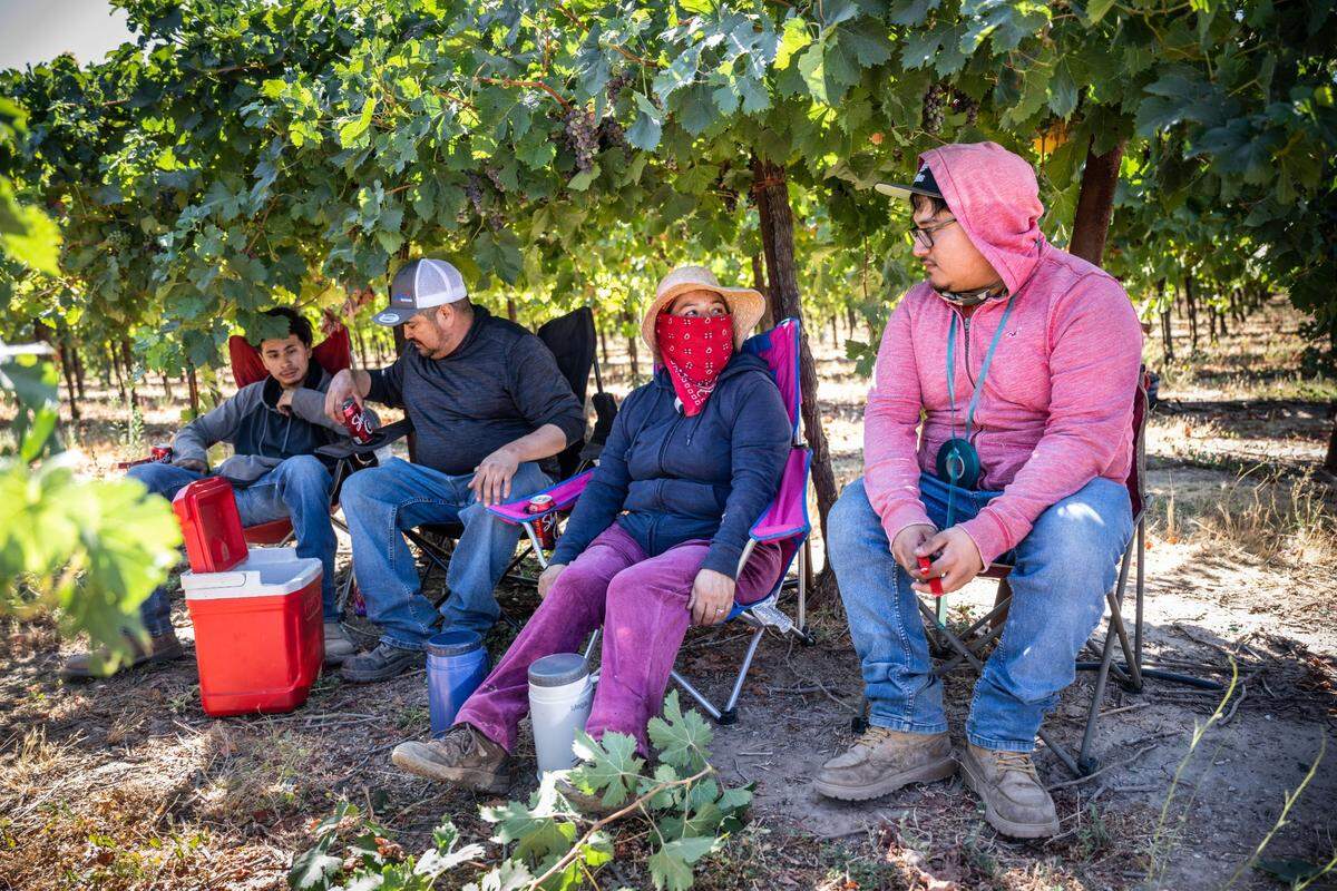Carlos Alfonso Perez, 23, right, who lives at the Lodi Migrant Housing Center with his family, takes a break with his brother Cristian, 18, father Carlos Santiago, 45, and mother Lorena, 44, in August.
