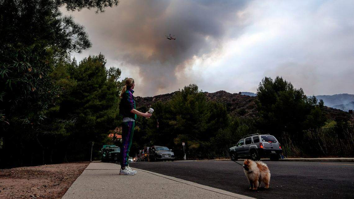 The Citizen crime and safety app posted a photo and $30,000 reward of a man wrongly accused of starting a wildfire near Los Angeles. In this picture, a woman eyes the fire from afar.