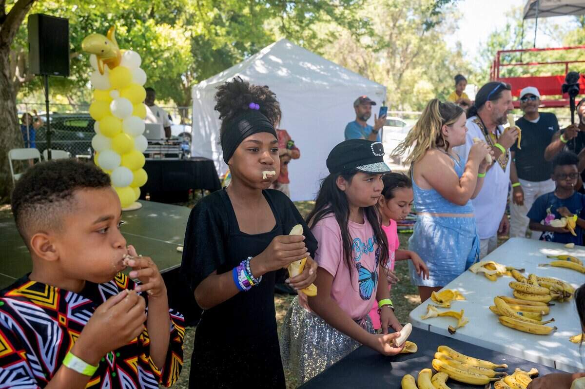 Children participate in the banana eating contest at the 11th Annual Sacramento Banana Festival on Sunday, Aug. 21, 2022, at William Land Park in Sacramento.