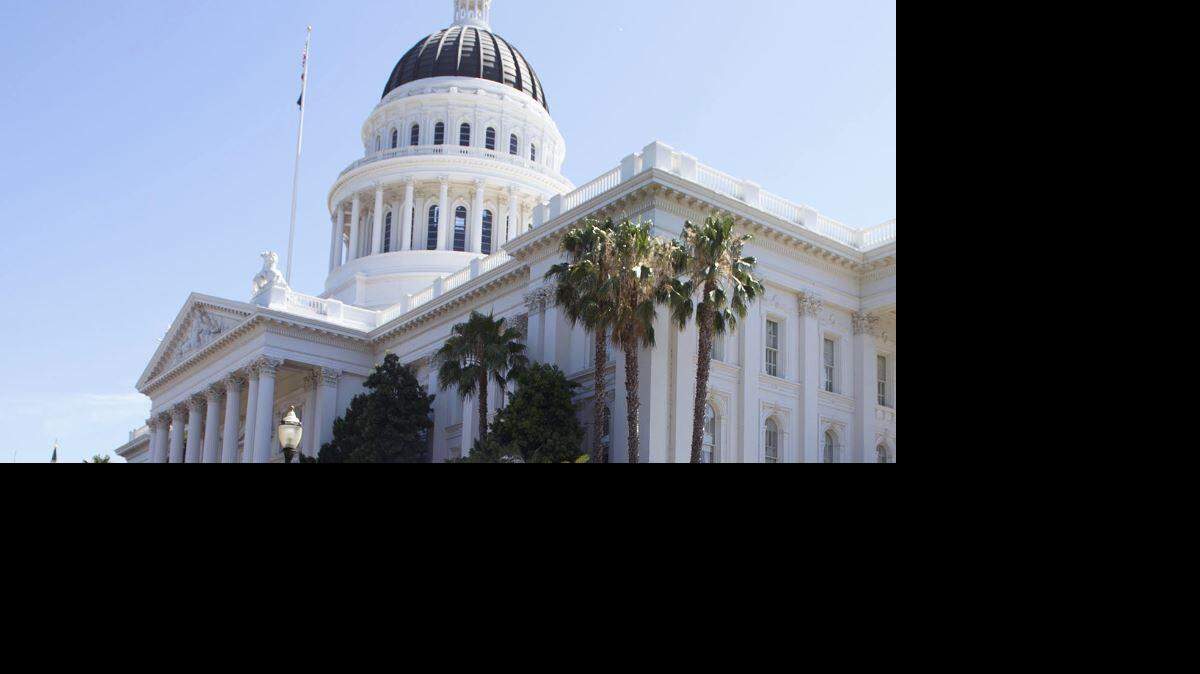 Half a dozen bills this year would expand disciplinary action at colleges. 