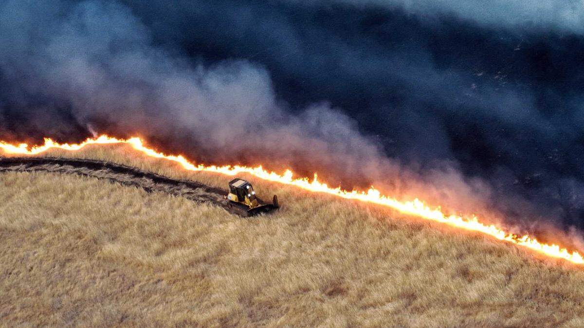 A firefighting bulldozer cuts a fire line Saturday, June 1, 2024, to stop progress of the Corral Fire, a 12,500-acre grass fire burning in San Joaquin County. Strong winds had pushed the blaze up to homes and a freeway south of Tracy.