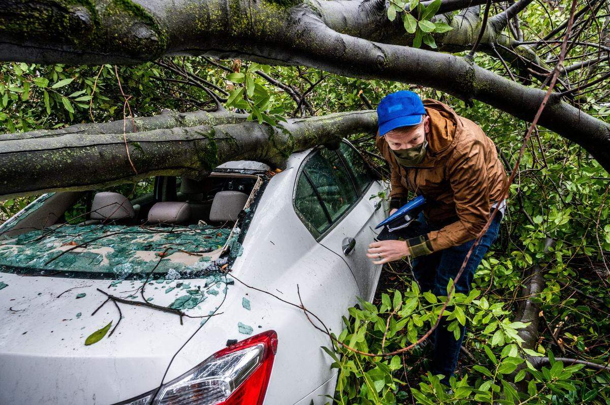 Aaron Terberg, 33, pushes through branches to get things out of his car after a tree fell and smashed it overnight near 13th and G streets in Sacramento’s Mansion Flats neighborhood during a storm that brought severe wind gusts and mass power outages throughout the area Wednesday, Jan. 27, 2021.
