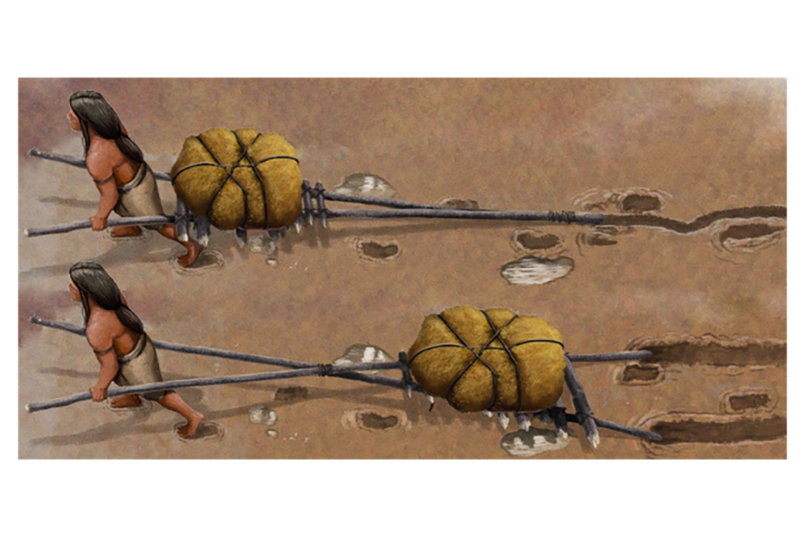 Travois were often improvised and took many different shapes in order to carry loads.