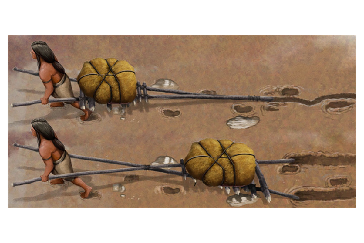 Travois were often improvised and took many different shapes in order to carry loads.