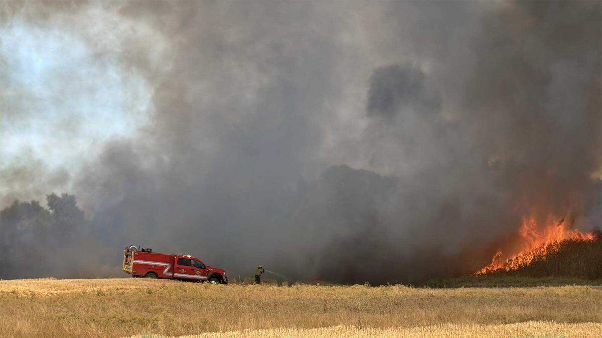 Firefighters responded to a grass fire near the eastern edge of Woodland that burned 50 acres as of a 2:54 p.m. update on Thursday. No injuries have been reported and no structures are at risk, the Woodland Fire Department said.