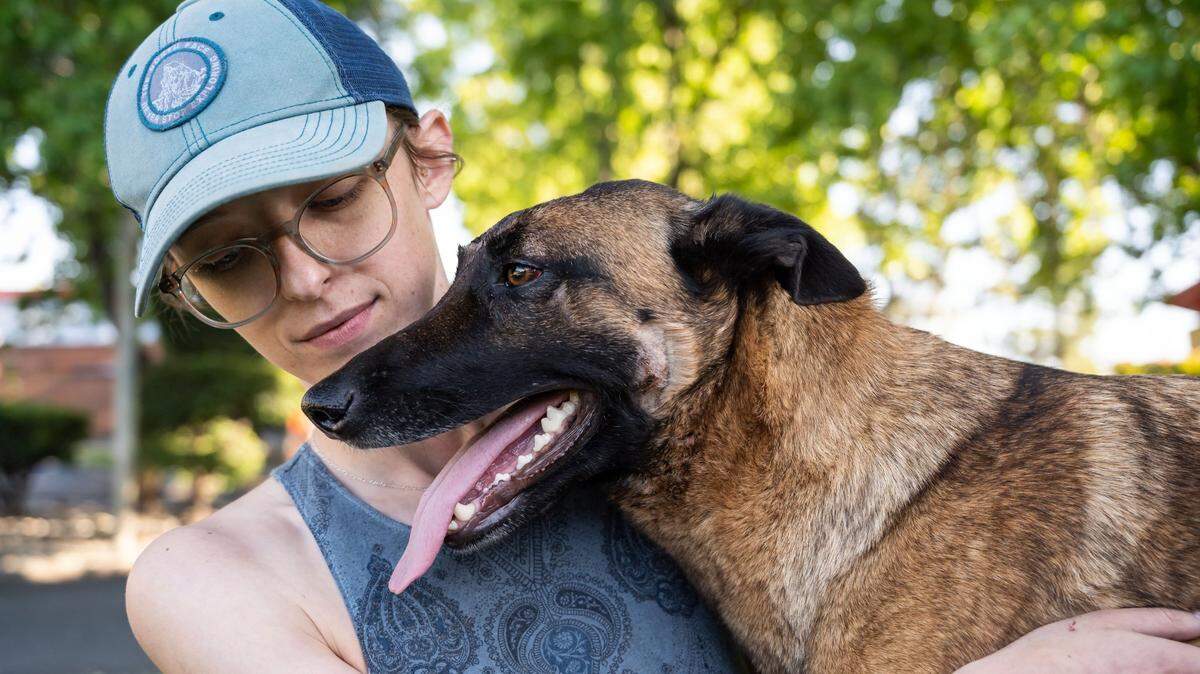 Eva the dog goes home after saving California woman from mountain lion attack