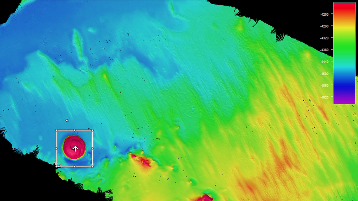 The surprisingly circular seamount rises about 3,300 feet off the seafloor, and has “relatively steep, smooth sides,” scientists say.