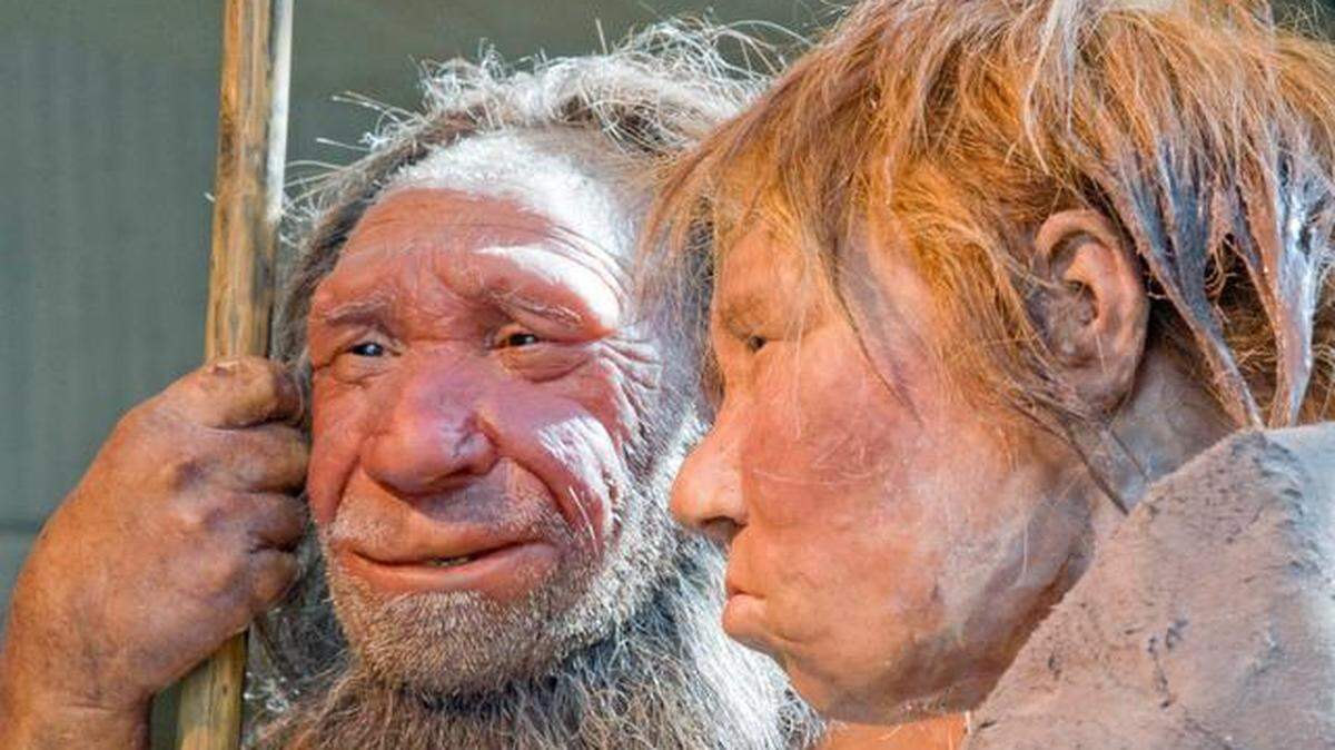 DEU Wissenschaft Neanderthaler