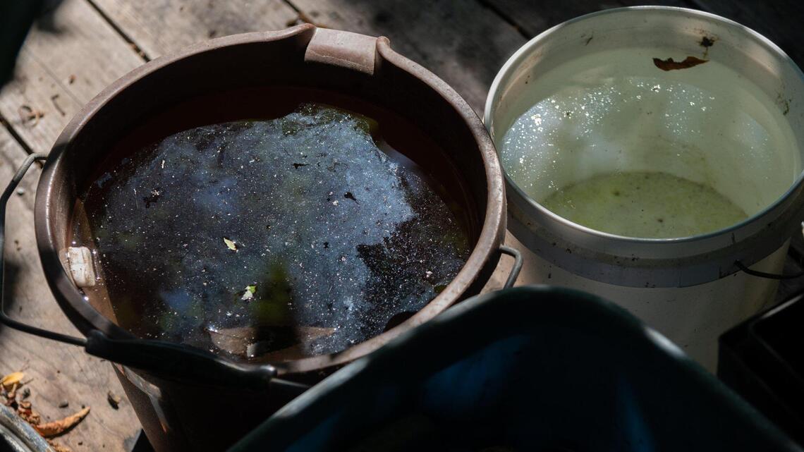 Aerial spraying for mosquitoes set again in Modesto, Turlock, other towns. Why it continues
