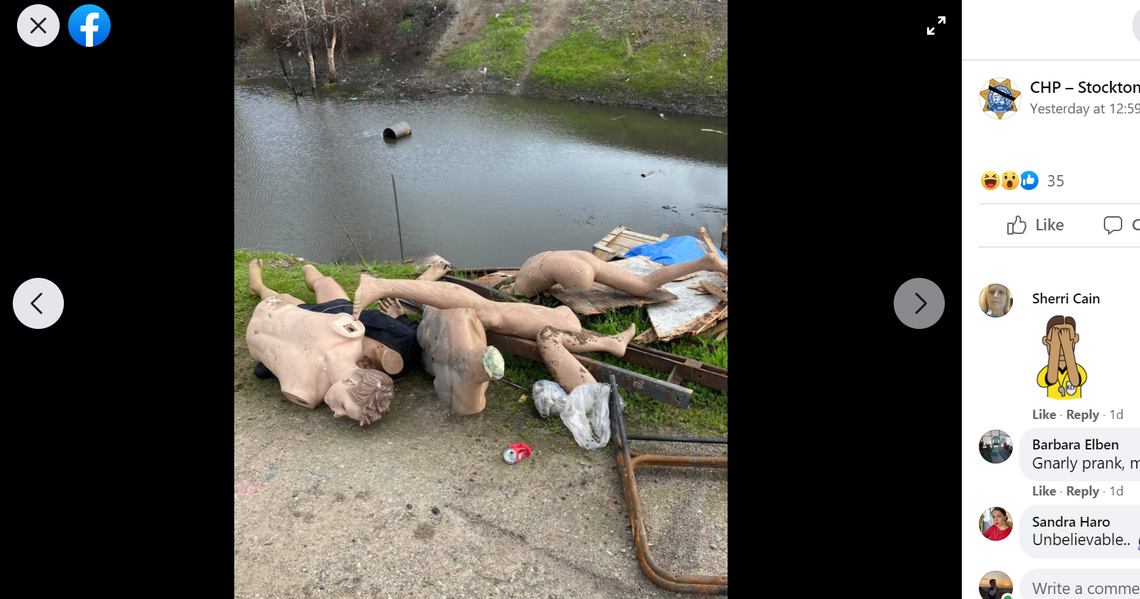 Authorities removed the mannequins from the pond.