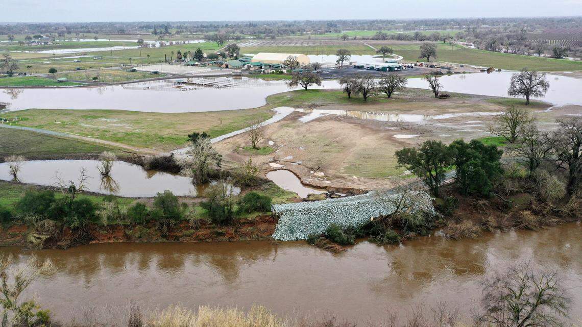 A repaired Cosumnes River section of levee, where a break earlier this month caused flooding in Wilton, awaits the test of another storm on Monday, Jan. 9, 2023.