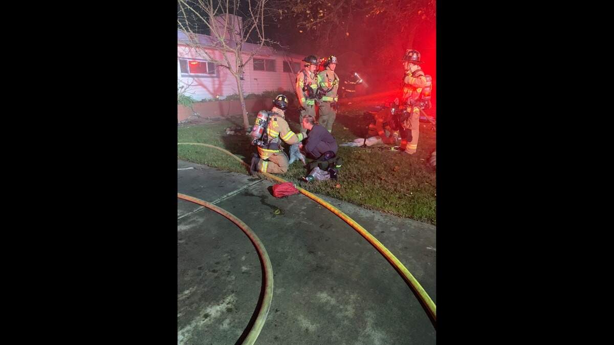 Two dogs were rescued from a house fire in the Arden Arcade area on Monday, December 20, 2021.