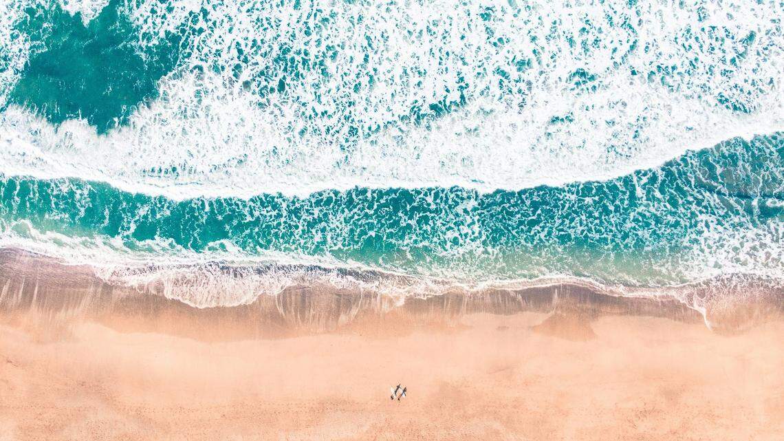 A huge skull spotted on Pajaro Dunes State Beach in California likely belongs to a fin or blue whale, the Santa Cruz Museum of Natural History says.