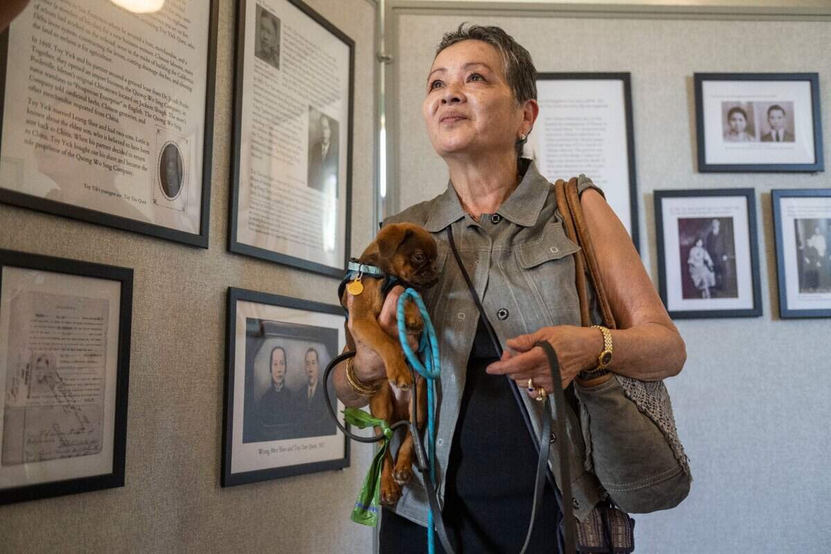 Karen Chan holds her puppy Diego as she talks about her memories of Isleton on Thursday. After a major renovation that began in 2012, the Bing Kong Tong building now serves as a new museum and community space for the city of Isleton. “My family’s history is up on the walls of this Isleton museum,” she said. “My father came up here after the San Francisco earthquake. He and a lot of the Asians in town joined the Navy in World War II.”