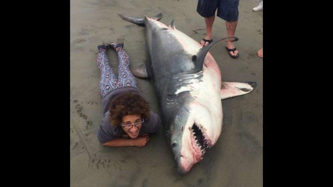 Critics say a photo of a woman beside a dead great white shark found dead last summer on an Aptos, Calif., beach disrespects the animal, but marine biologist Giancarlo Thomae, who shot the photo, says his colleague posed beside the shark for scale.