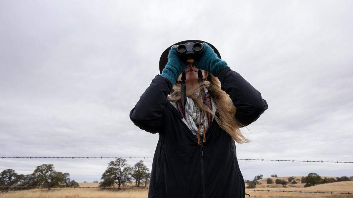 Pamela Flick, California program director for the Defenders of Wildlife conservation organization, looks at birds living in the rolling hills inside the 400-acre Coyote Creek Solar project area in eastern Sacramento County in November. The land is home to dozens of special-status species.