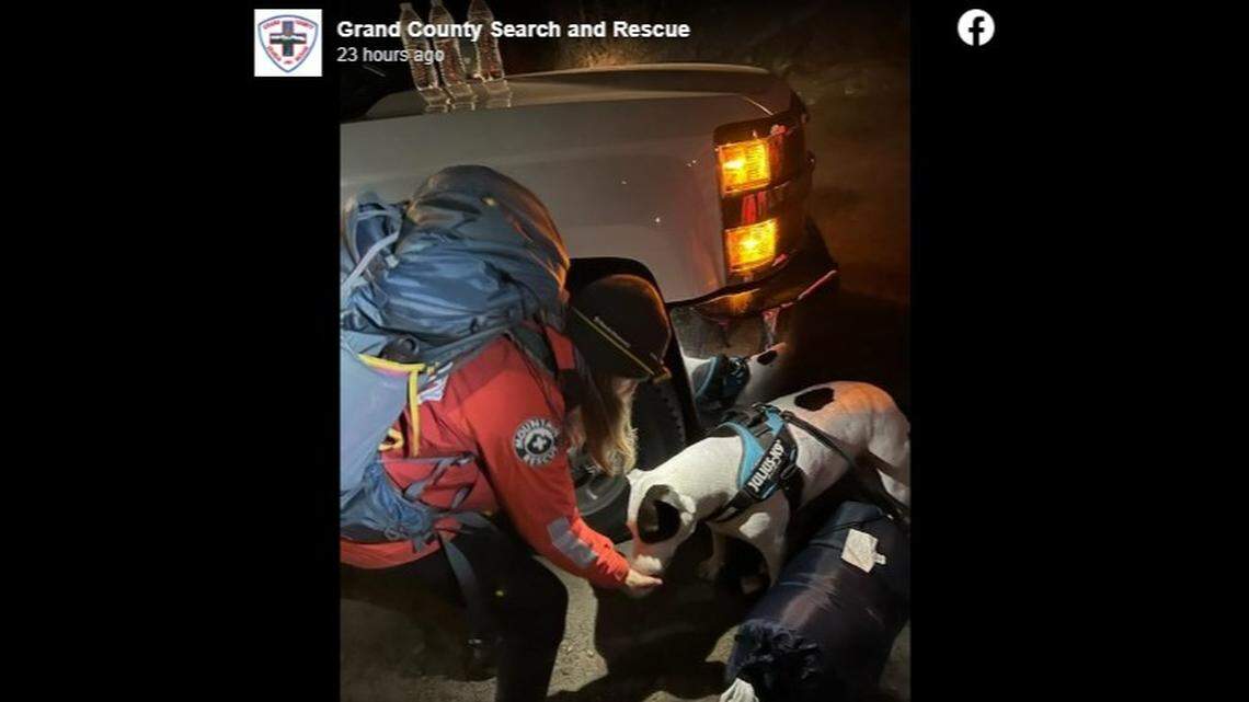An 80-pound dog was rescued after suffering altitude sickness in Colorado, rescuers said.
