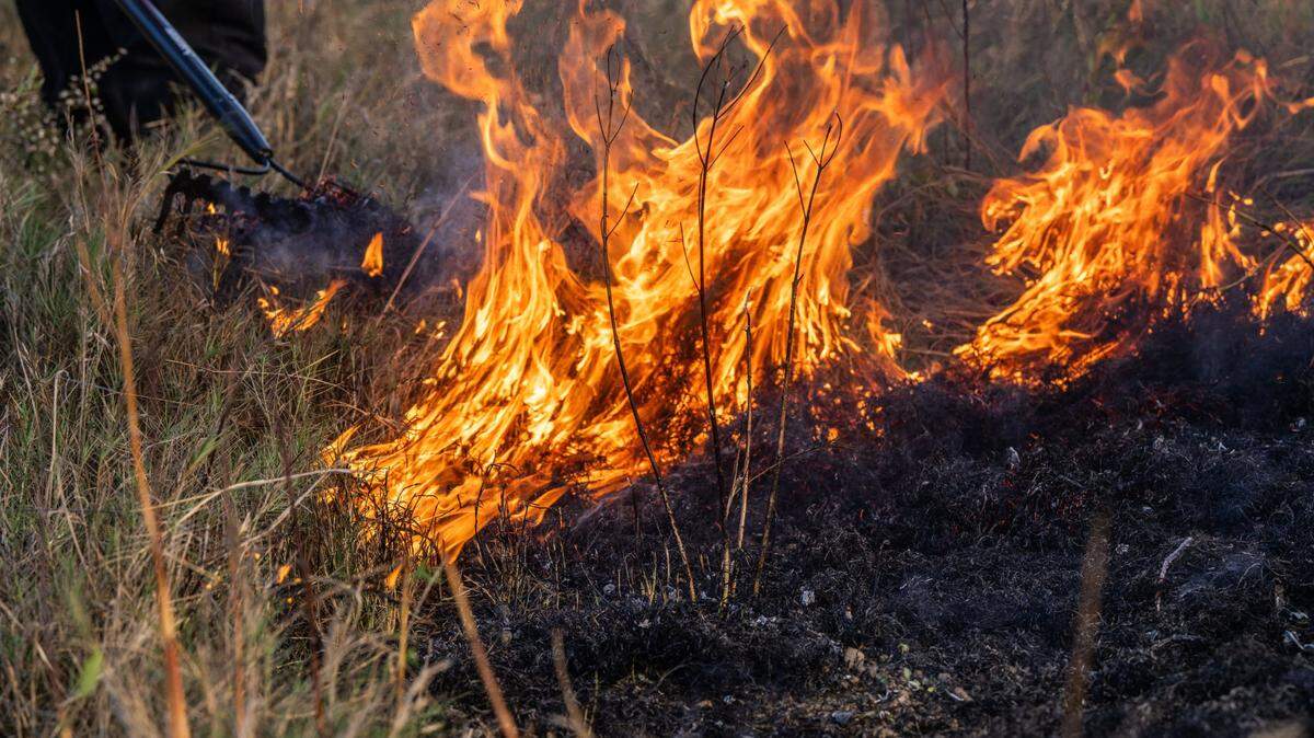 A stage 1 burn ban goes into effect in Whatcom County on July 1.